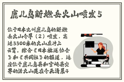 国产乱人伦偷精品视频免下载